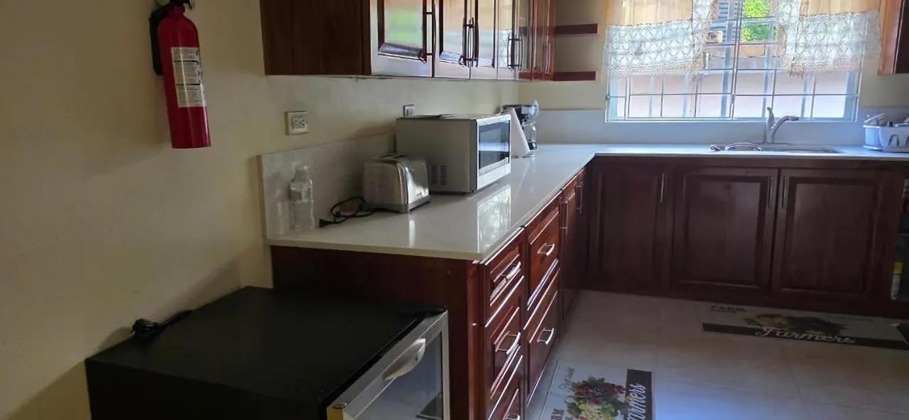 Harmony Croft'S Hill Apartment Kupuis Jamaica